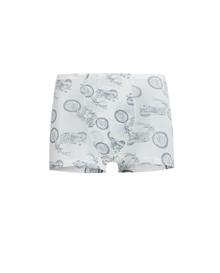 Aimer Kids 3 Packs Boyshorts For Boys